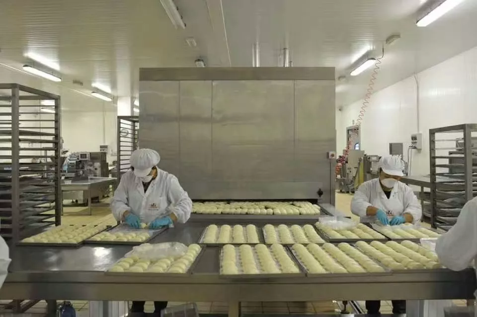 FSW500 Tunnel freezer for humburger freeze